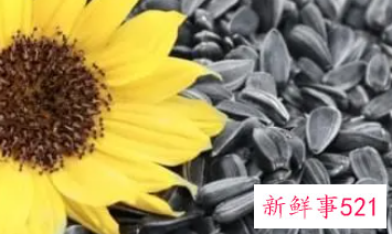 葵花籽的功效与副作用
