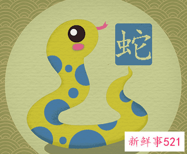 一床能不能两个属蛇