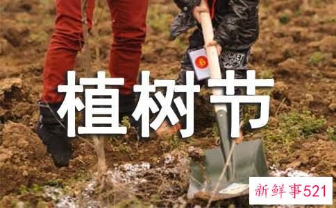 幼儿植树节教案