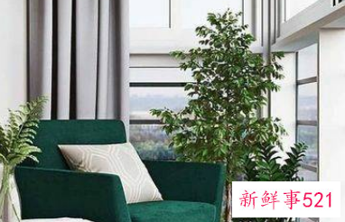 现在封阳台最流行的效果