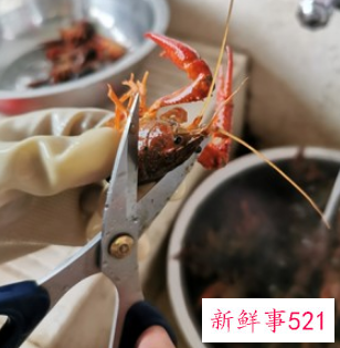 龙虾的烹饪方法