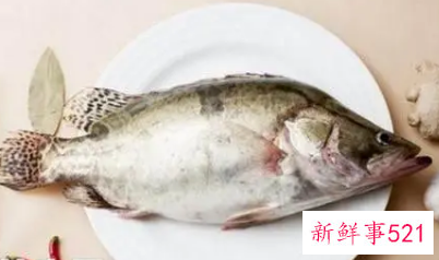 男性经常吃鱼的好处和坏处