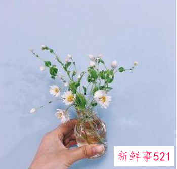 寓意好运的微信头像