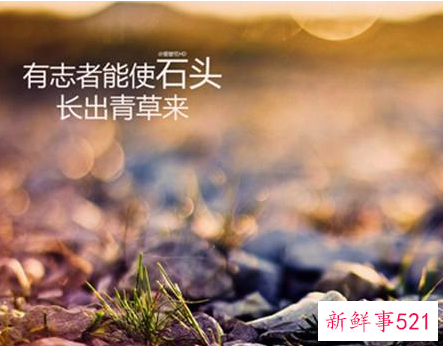 早会正能量文章的分享