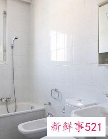 家用卫生间吊顶