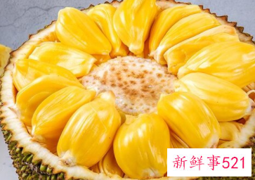 榴莲和菠萝蜜一样吗