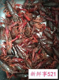 龙虾的烹饪方法