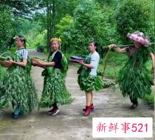 大妈抱蔬菜走秀