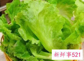 吃生菜对人身体有什么好处