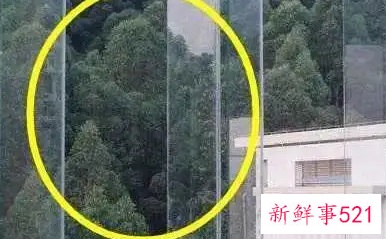 现在封阳台最流行的效果