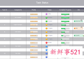 项目管理5大工具表格