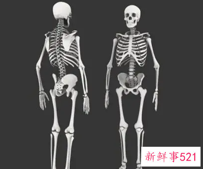 梦见自己的骨头