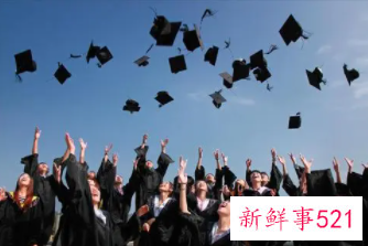 本科毕业适合做什么工作