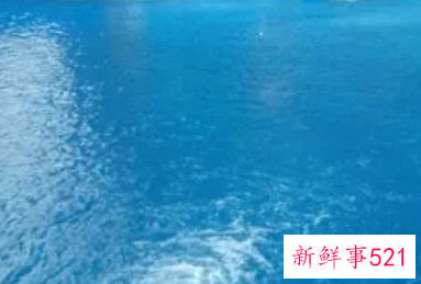 梦见游泳池没水了是什么意思