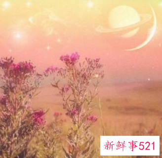 寓意好运的微信头像