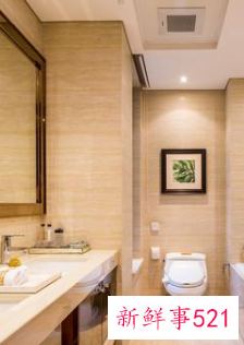 家用卫生间吊顶