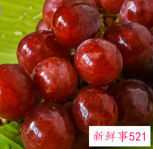 红枣的副作用有哪些