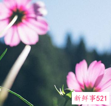 寓意好运的微信头像