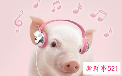 属猪男人真正分手表现