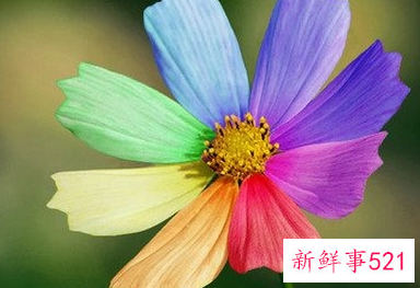 自己的幸运色是什么