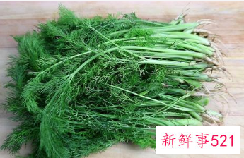 用植物驱赶蚊虫有驱蚊虫效果的植物