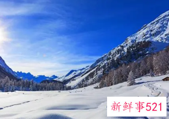 梦见路上很美的风景