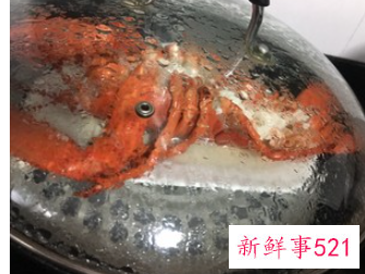 蒜蓉大龙虾的家常做法