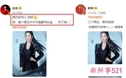 《乘风破浪》官宣谢娜担任主持人