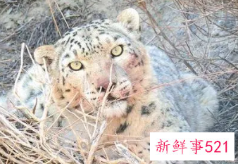 动物对生态环境的影响