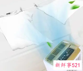 房间除湿有效的方法