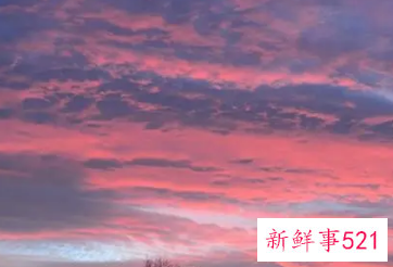 女人梦见拍风景照是什么意思