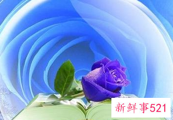 蓝色的性格的人爱情观