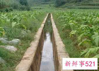 梦见水渠的寓意