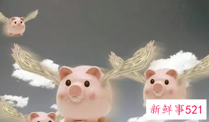 梦见小乳猪追我是什么意思