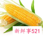 玉米功效和作用