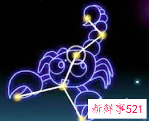 哪个星座女是万人迷