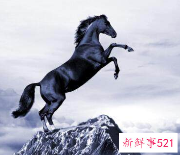 属马的桃花运势