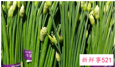 蒜苔升糖指数高吗