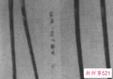 筷子的知识有哪些