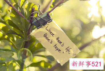 温暖治愈励志文案