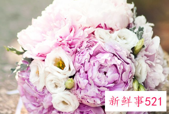 康乃馨适合送什么人