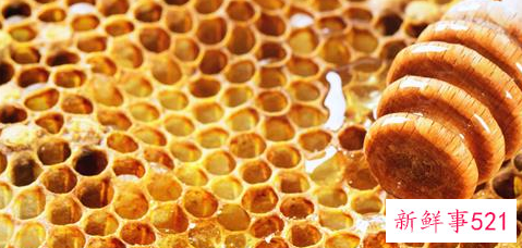 润肺食物排行榜