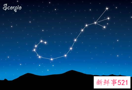 12星座守护花以及花语