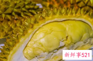 榴莲和菠萝蜜一样吗