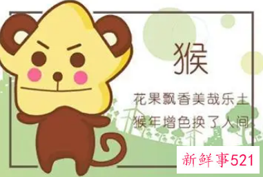 属相猴佩戴什么能旺财