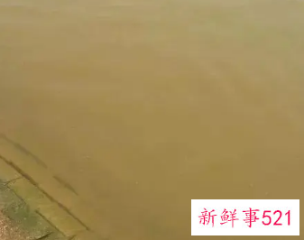 做梦梦见混浊的水