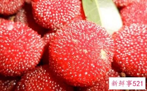 梦见杨梅长虫什么意思