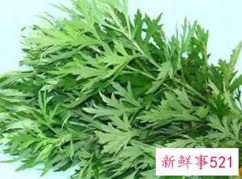 艾草功效和作用