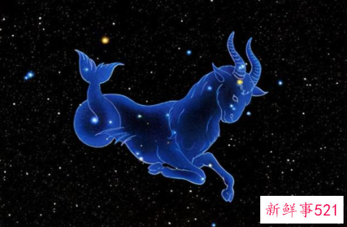 双鱼座追魔蝎座怎么追