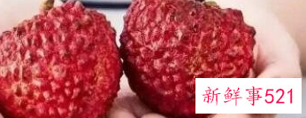 荔枝王和荔枝的区别，那里的好吃